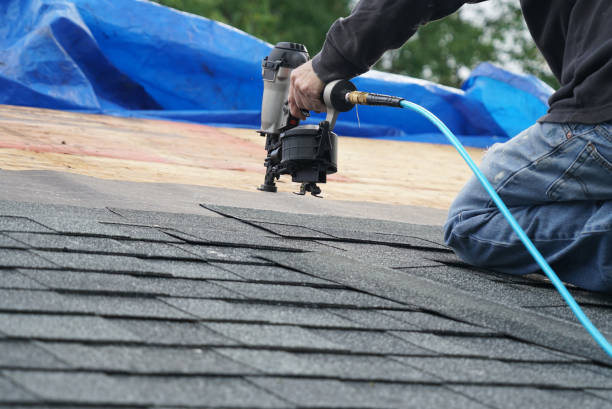 Roof Gutter Cleaning in Trenton, NJ